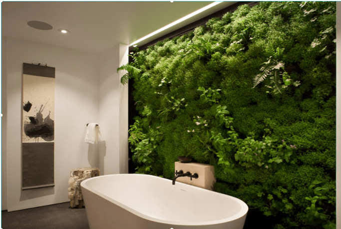 Indoor Green Wall