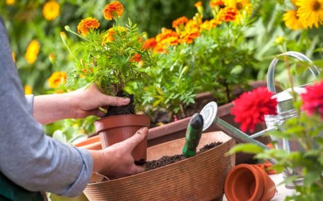 Get Your Garden ready for the Growing Season with These February Gardening Jobs
