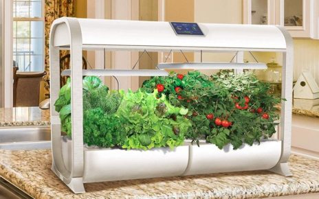 How To Set Up A Smart Garden h