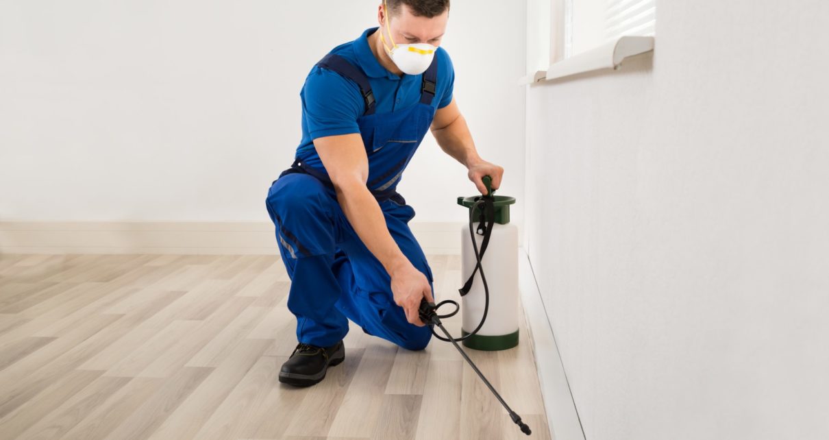 hire pest control specialist