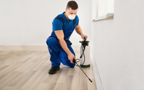 hire pest control specialist