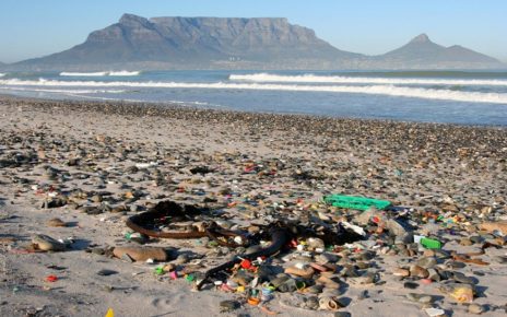 How are Plastic Harmful and Ways to Reduce it