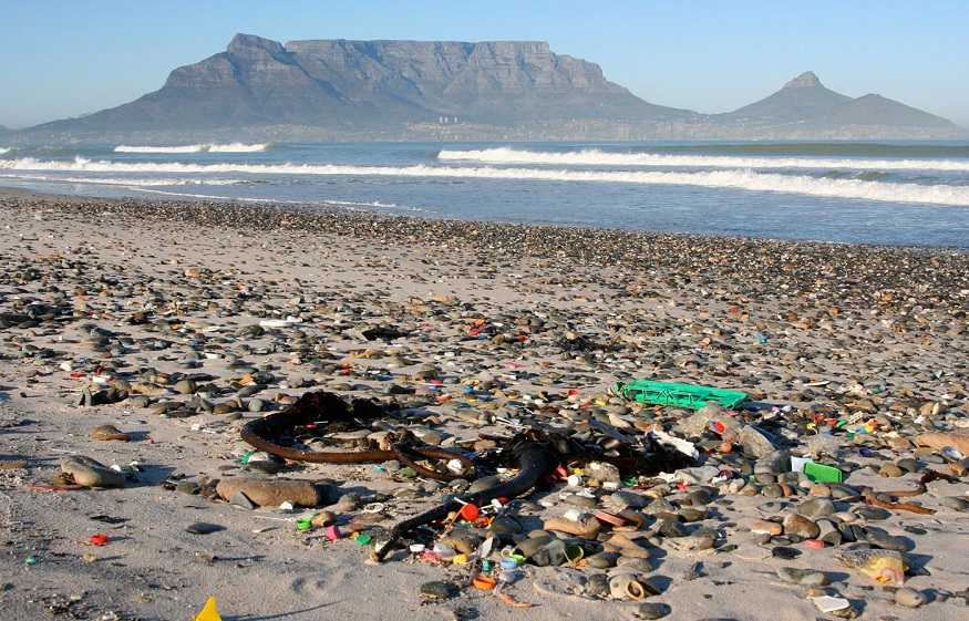 How are Plastic Harmful and Ways to Reduce it