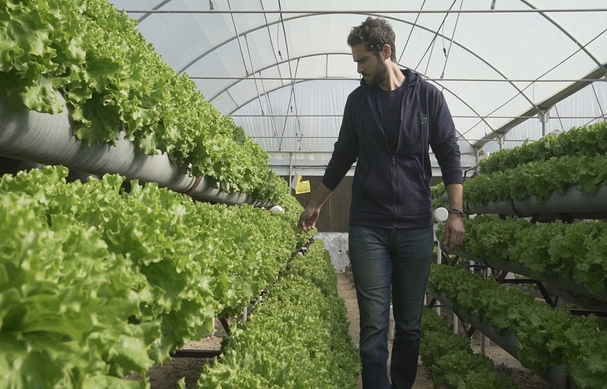 How Hydroponic Farming differs from Traditional Farming