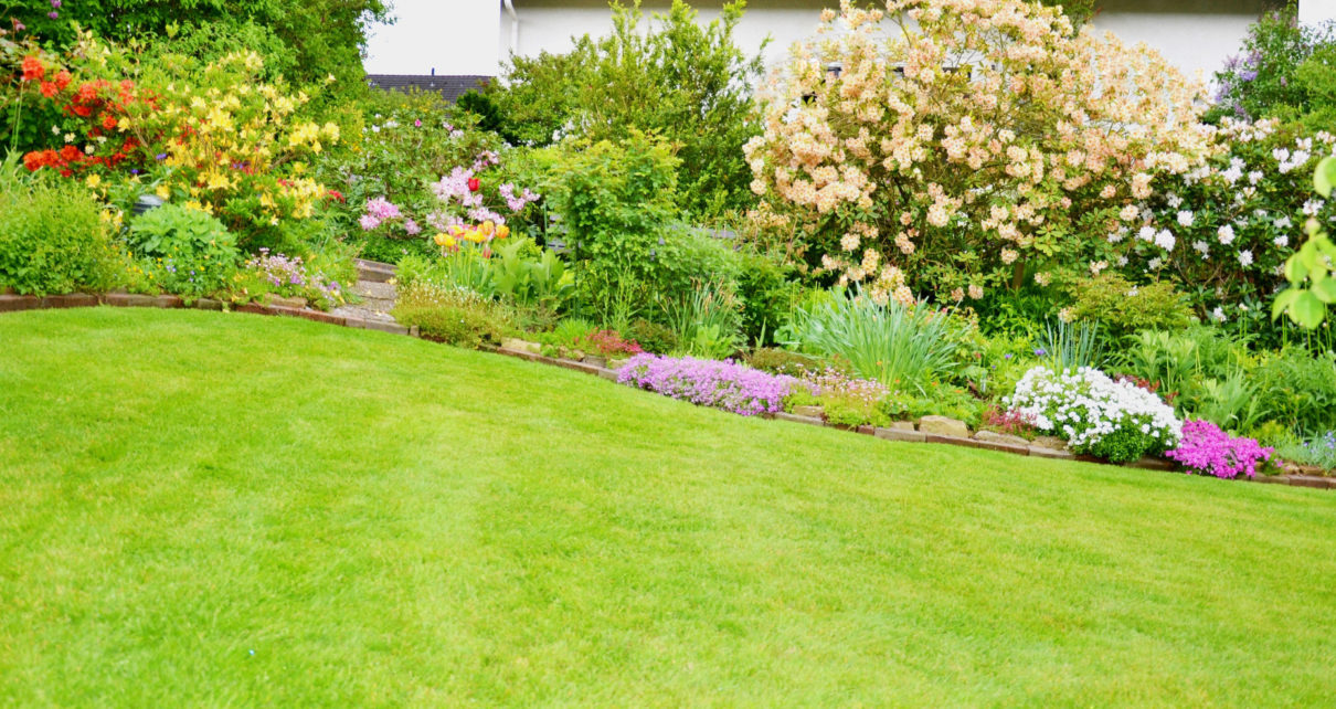 9 Simple Landscaping Tips for Homeowners