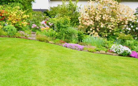 9 Simple Landscaping Tips for Homeowners