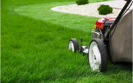 Find the Best Lawn Care Packages in 2021