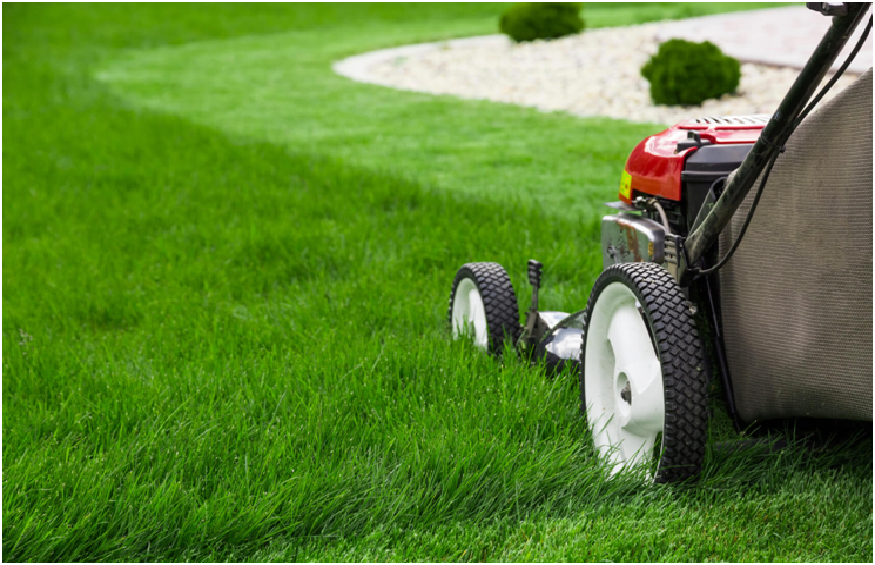 Find the Best Lawn Care Packages in 2021