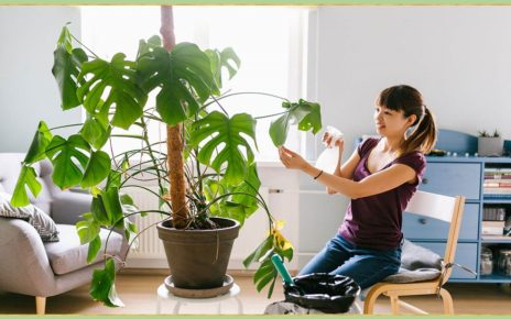 Nine Pro Tips to Becoming a Plant Parent.