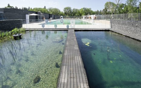 natural pool treatment 