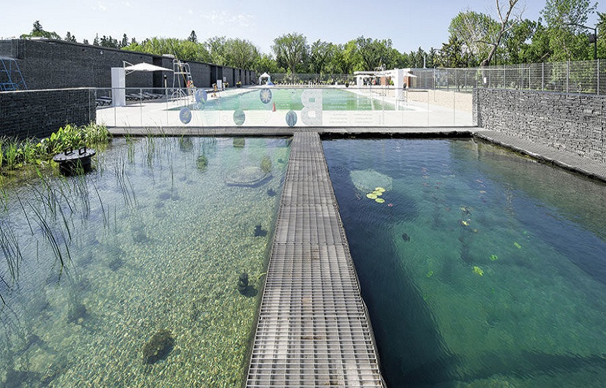 natural pool treatment 