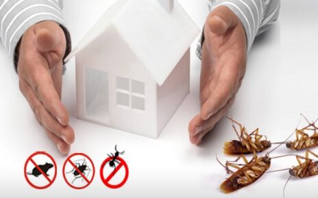 pest control services