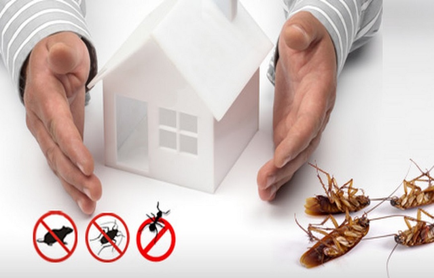 pest control services