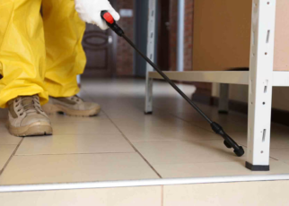 pest control company in Arlington