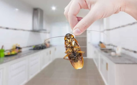 Pest Control