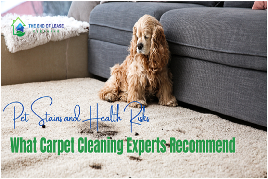 The End of Lease Cleaning,